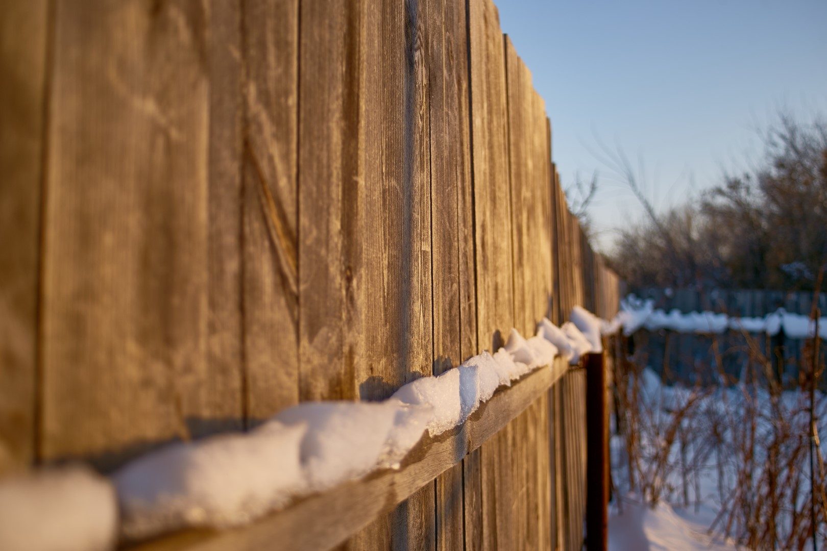Garden fence, sidewalk and plants covered in snow during a winter storm