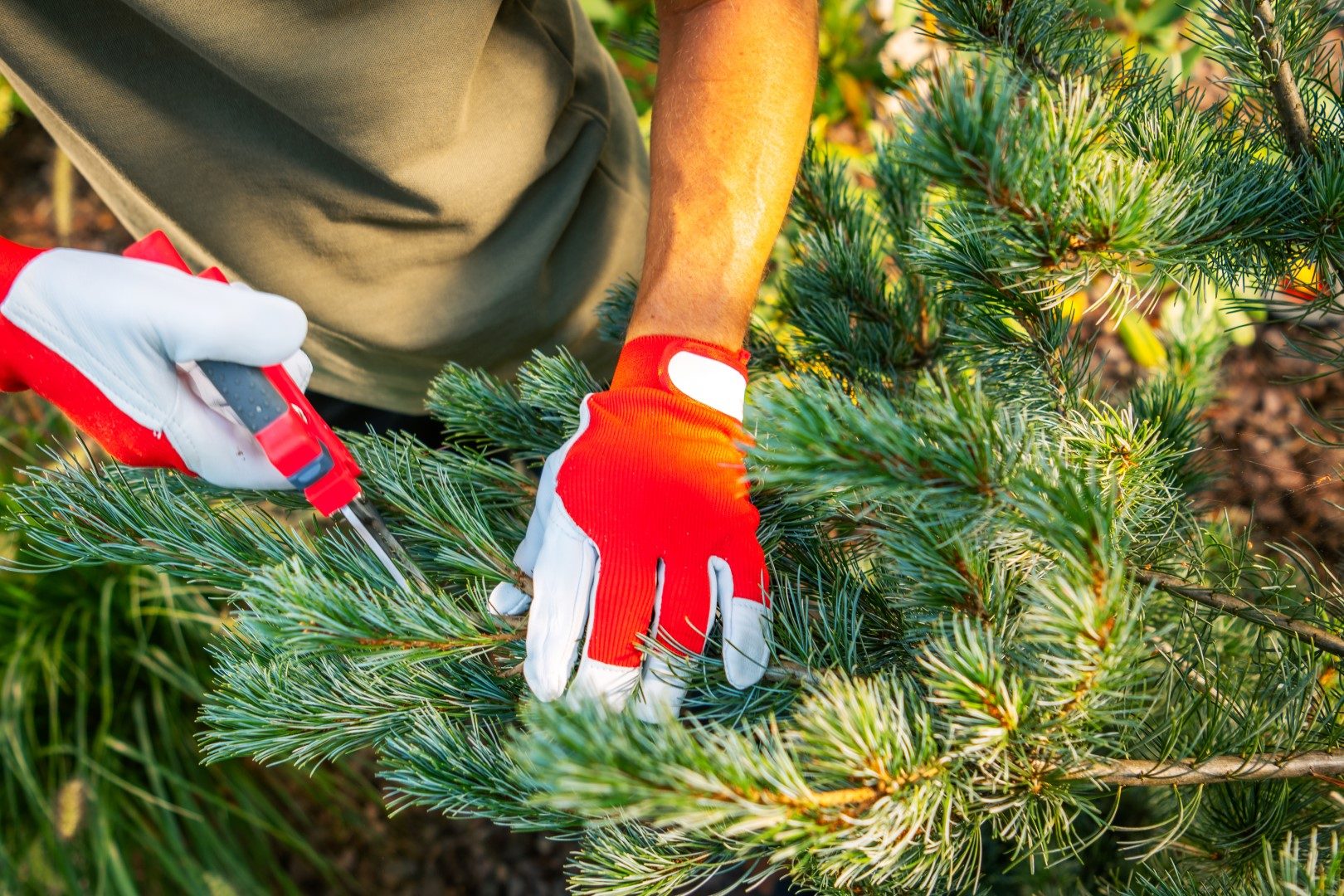 Meet with a Landscape Professional Now to Secure Your Spring Spot