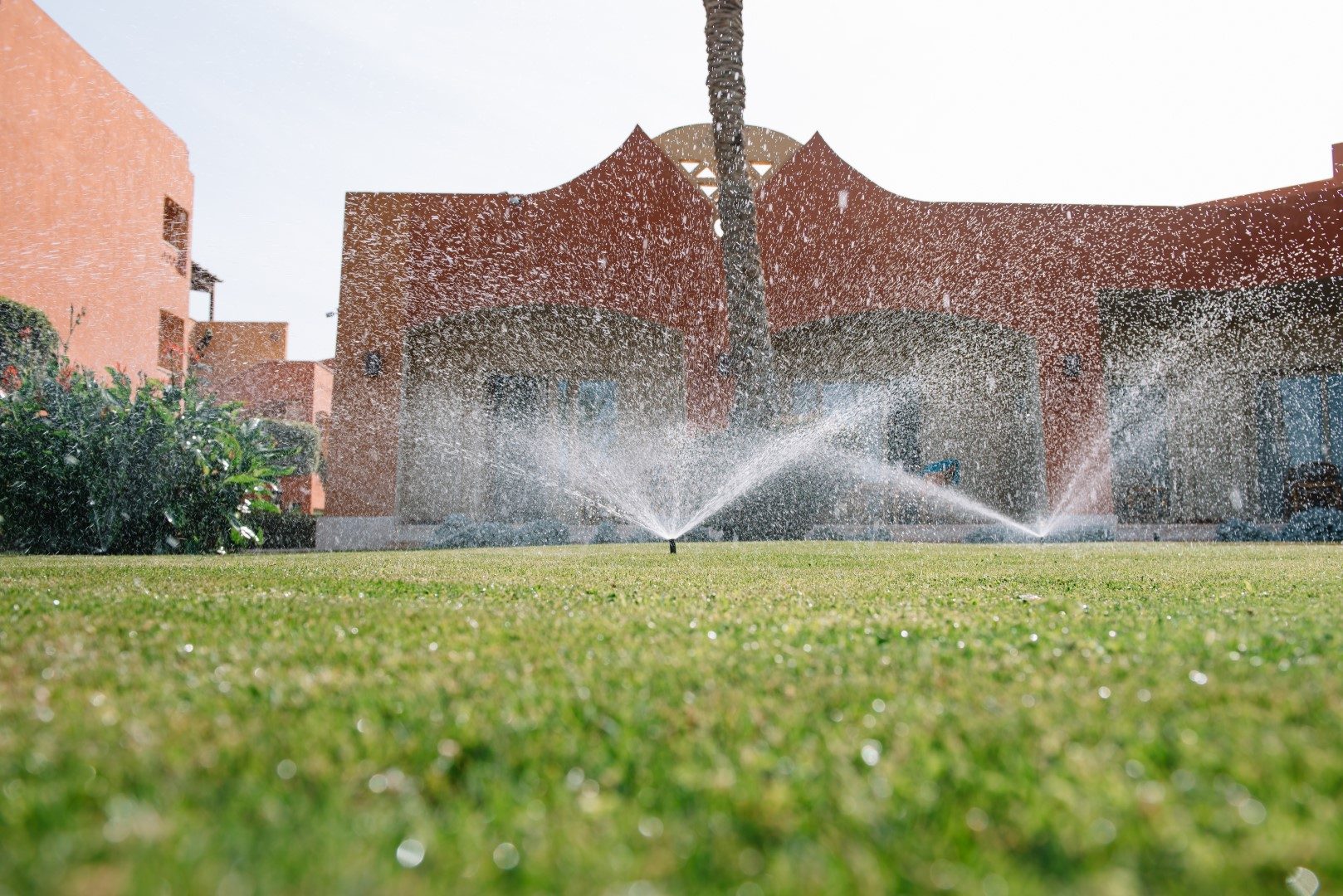 Modern device of irrigation garden. Irrigation system - technique of watering in the garden. Lawn sprinkler spraying water over green grass.
