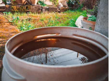 rain barrels