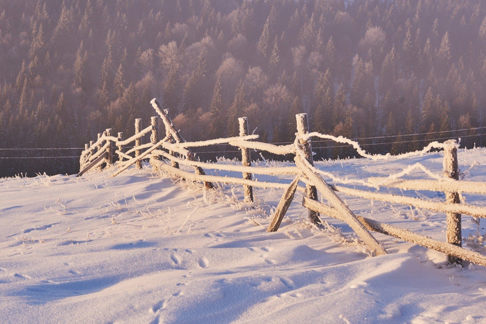 winter landscape trees and fence in hoarfrost, background with some soft highlights and snow flakes