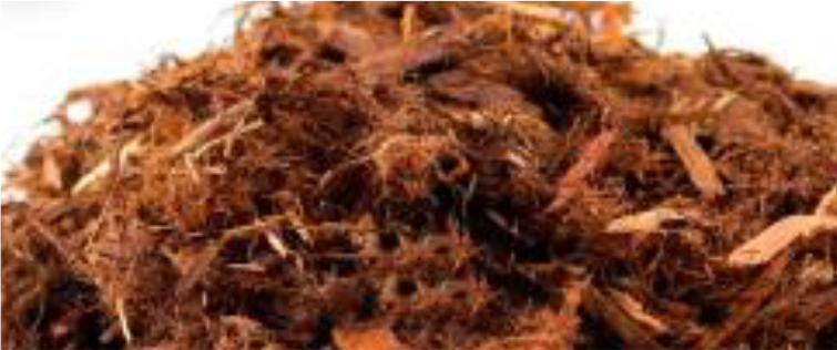 Washington Cedar Mulch