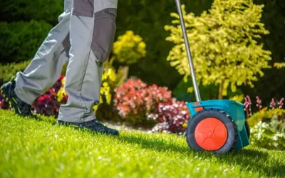 Summer Lawn Care Tips for a Lush, Green Yard in Colorado Springs