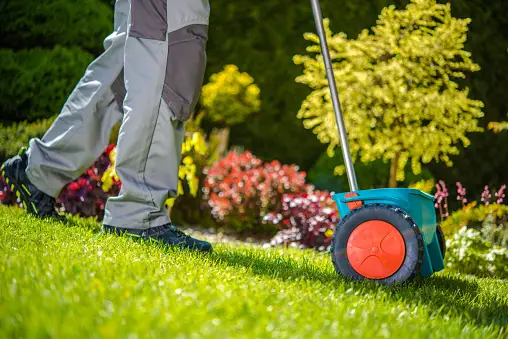 Summer Lawn Care Tips for a Lush, Green Yard in Colorado Springs