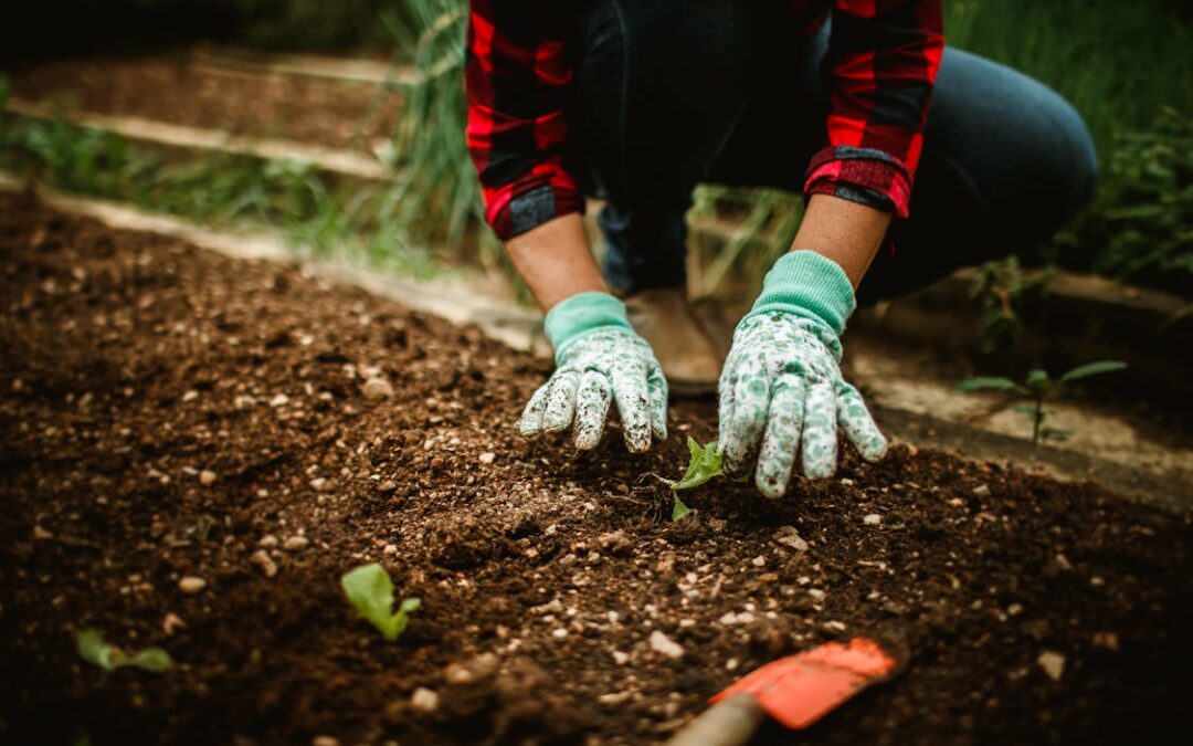 Preparing Your Lawn for Fall: Essential September Landscaping Tips