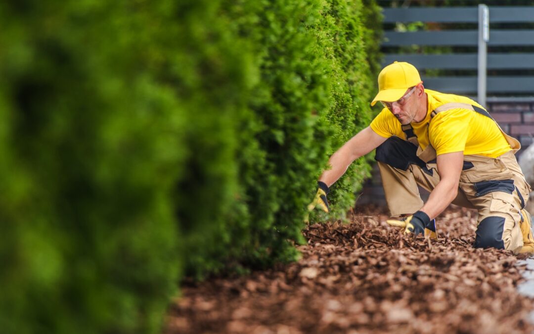 The Ultimate Guide to Summer Mulching for Colorado Springs Homeowners