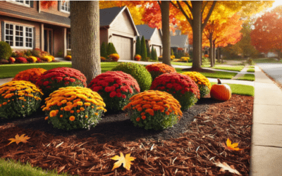 Easy and Elegant Low-Maintenance Landscaping for Busy Homeowners