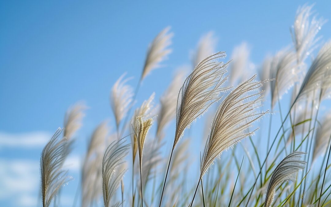 When and How to Cut Back Ornamental Grasses: Fall or Early Spring?