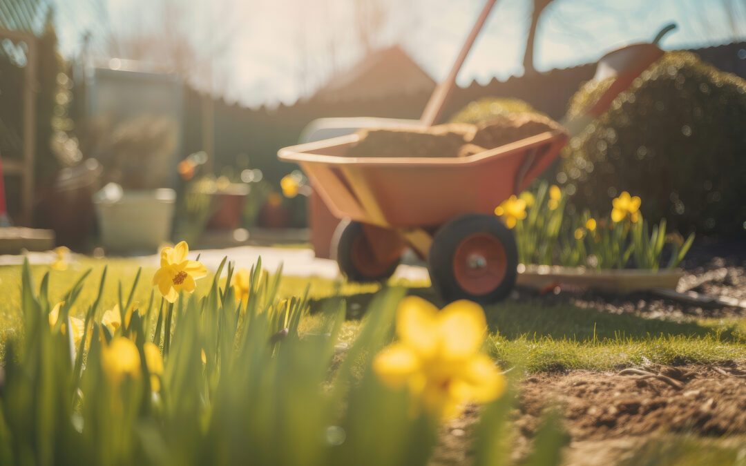 How a Professional Landscape Company Can Get Your Landscape Ready for Spring