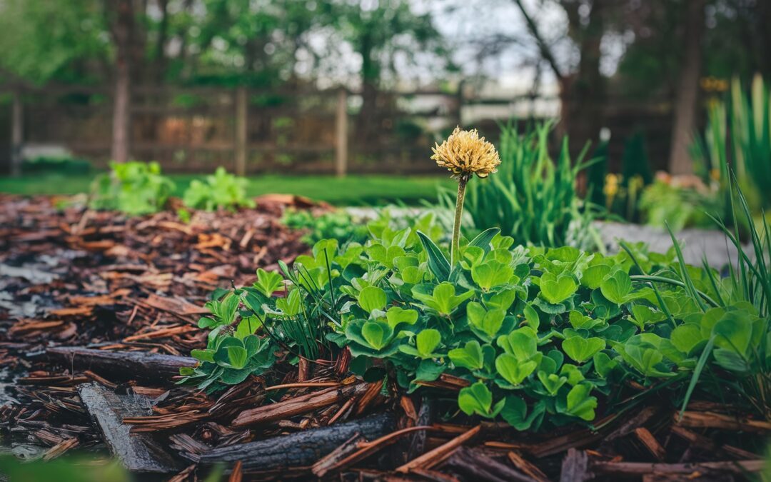 mulch and rock beds revitalization for winter