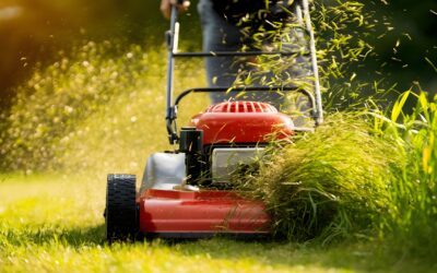 Kickstart Your Lawn with Sod Installation This Spring