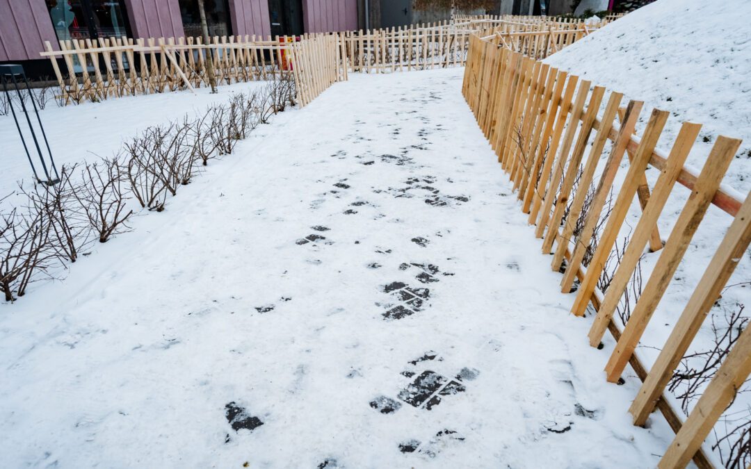 Fence Repairs After Winter: What to Fix Now That the Snow Is Gone