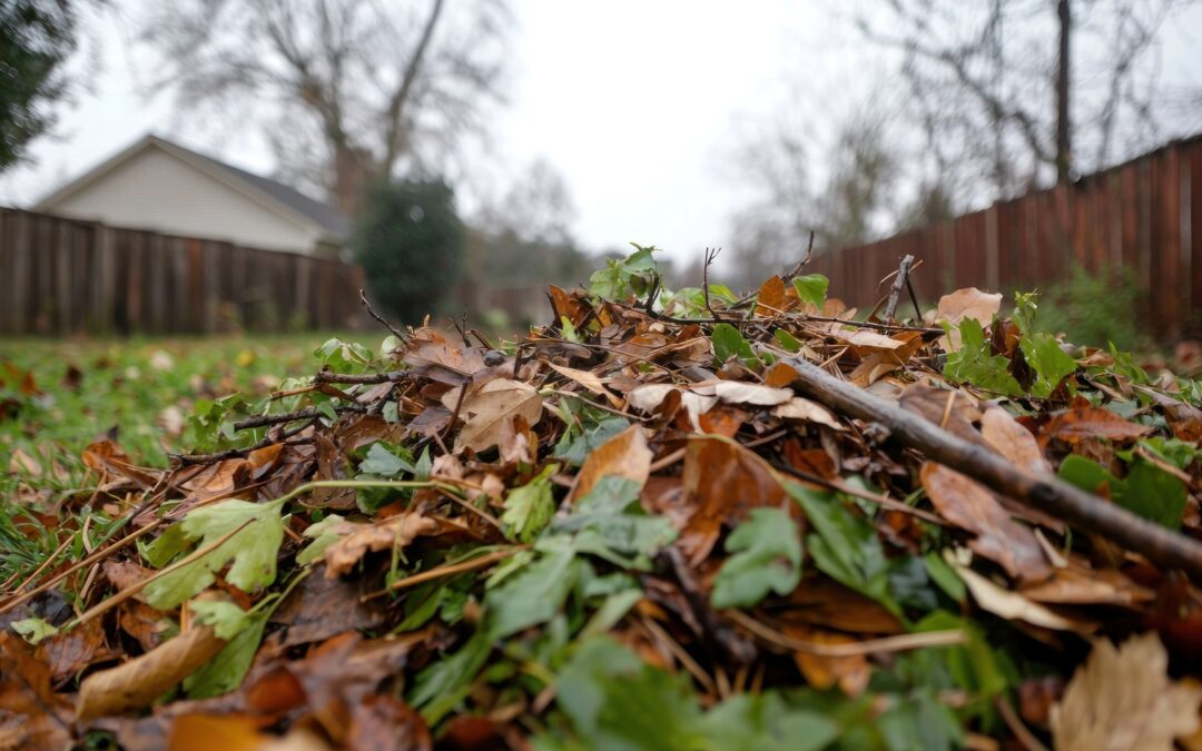 End-of-July Yard Prep: What to Tackle Now for a Smoother August in Colorado Springs