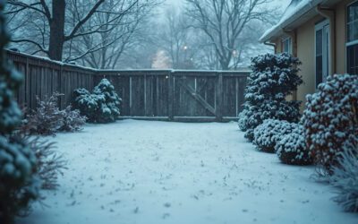 Smart Snow Management for Your Yard and Driveway