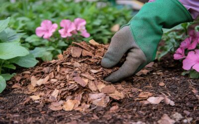 Spring Yard Cleanup Tips That Make Colorado Springs Homes Look Instantly Better